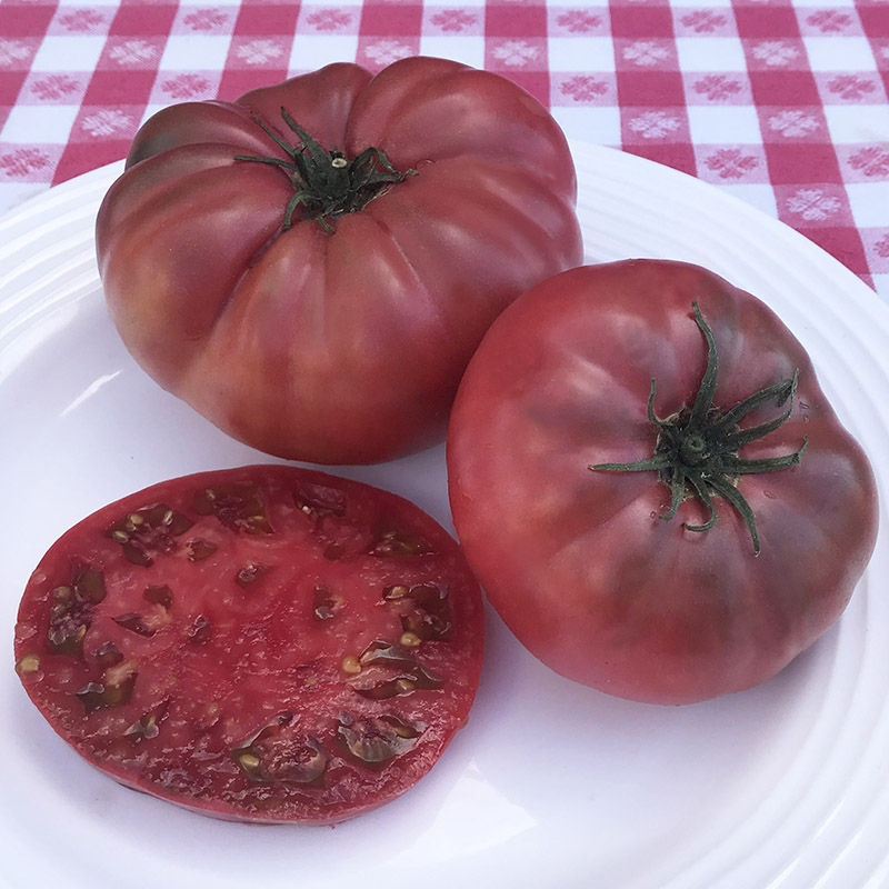 Brandyfred Dwarf Tomato Main Image